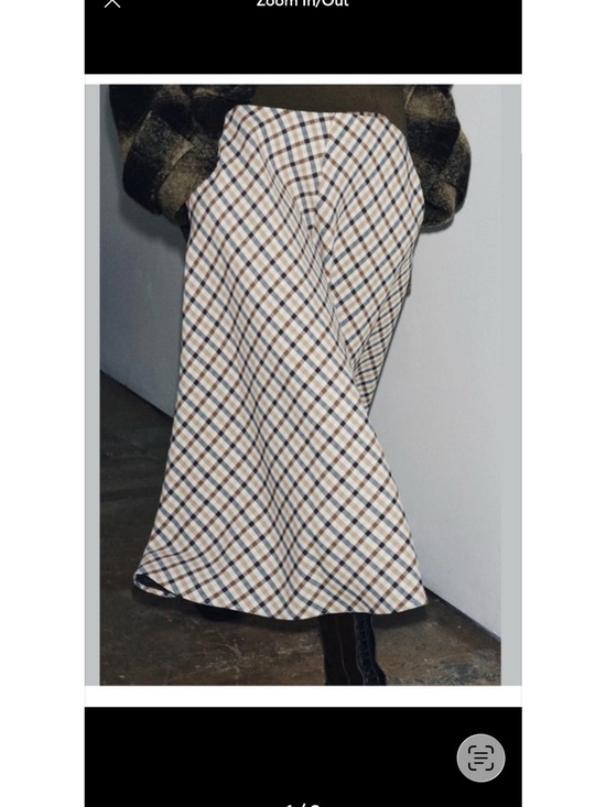 Zara Dresses & Skirts - Zara A line skirt